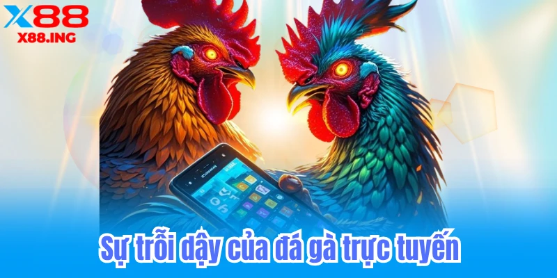 đá gà x88 nhà cái đá gà top 1 châu á