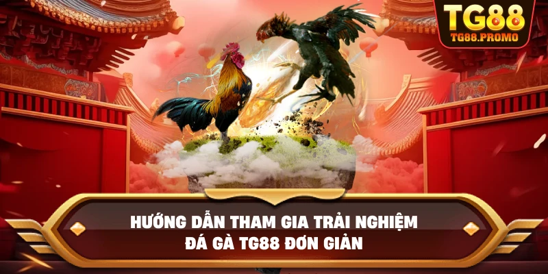 Hướng dẫn tham gia trải nghiệm Đá gà TG88 đơn giản