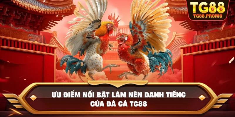 Ưu điểm nổi bật làm nên danh tiếng của Đá gà TG88