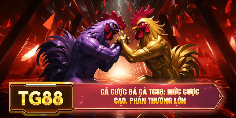 Cá cược đá gà tg88 mức cược cao phần thưởng lớn